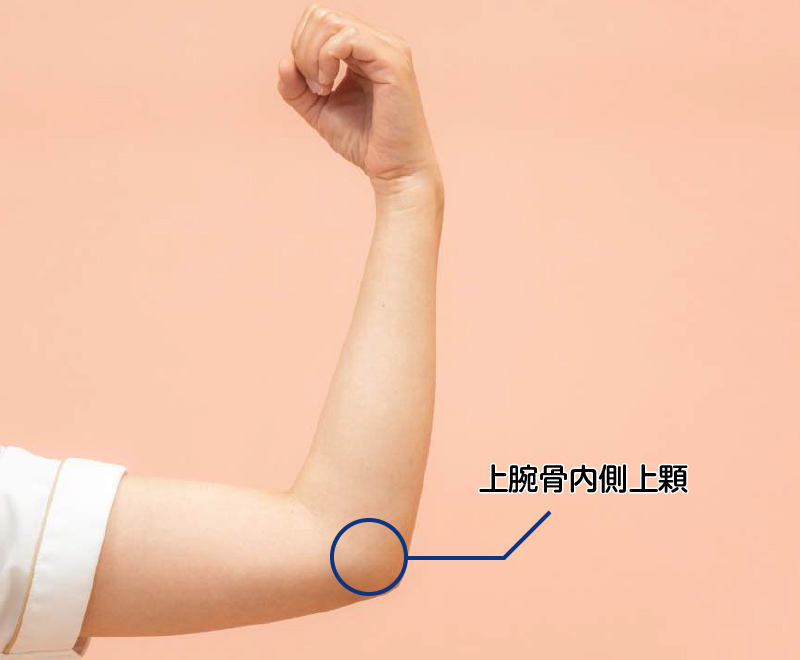 上腕骨内側上顆
