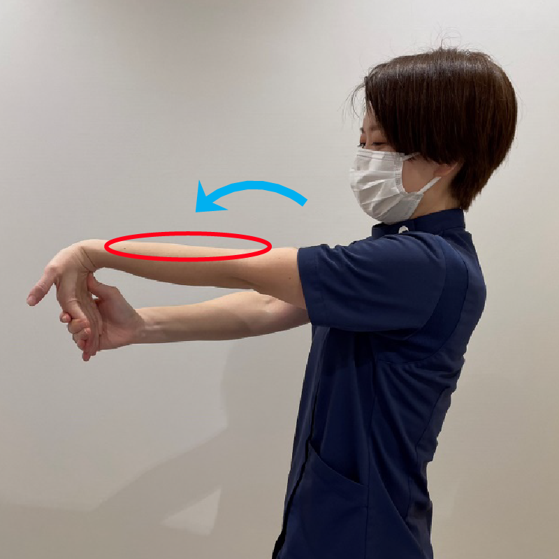 手首を反らせたまま、ゆっくり肘を伸ばしていきます。そうすると、前腕の筋肉が伸びて張ってきます。この状態で15秒ほど伸ばします。1日3回行ってください。