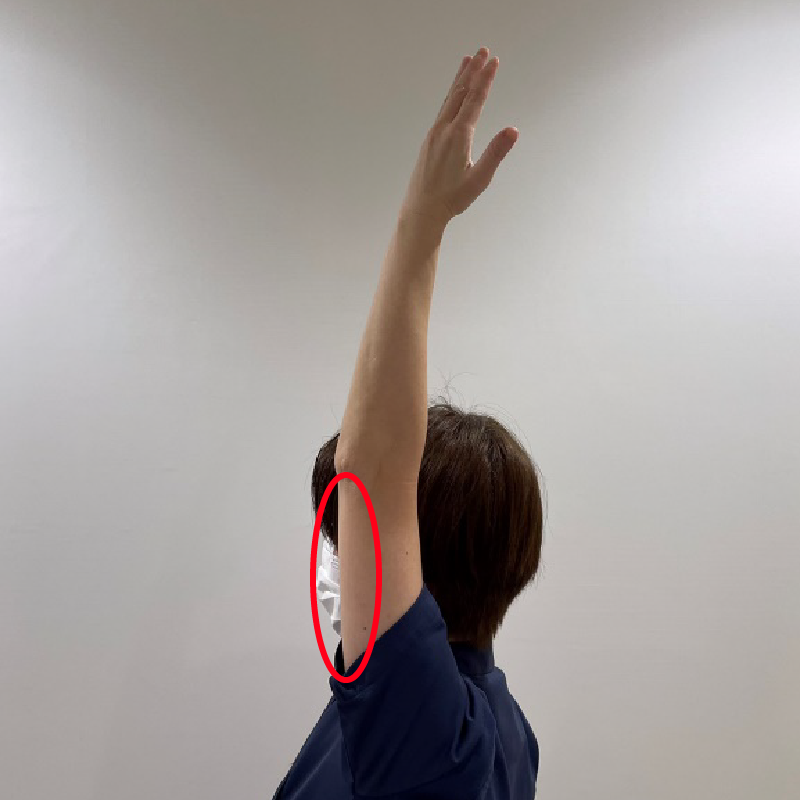 腕をまっすぐに上げます。