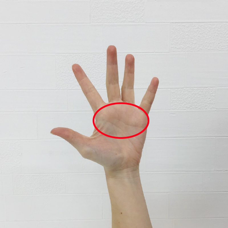 手のひらのストレッチ
