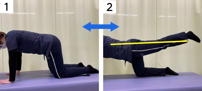 トレーニング
