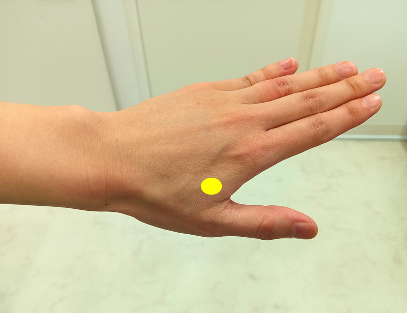 合谷（ごうこく）