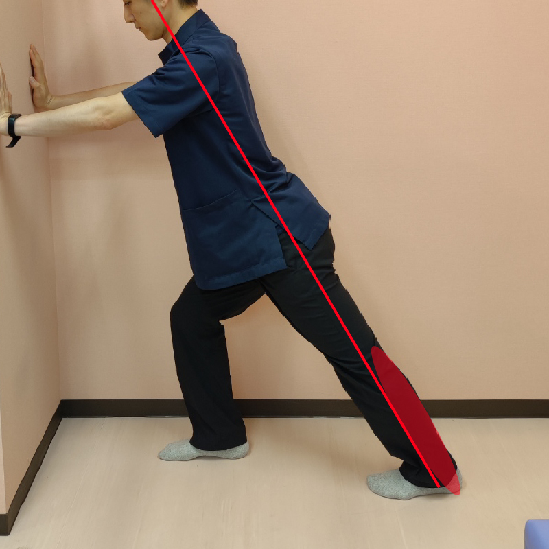 踵が浮かないように注意します。姿勢も真っすぐ一直線を意識しましょう。