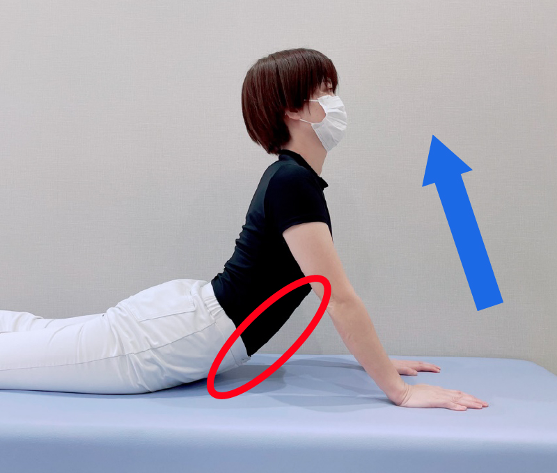 手で床を支持するようにするとより伸張感が得られます。痛みが出る場合などは避けてください。