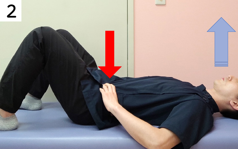 息をなだらかに吐いていきます。手でお腹が凹むのを感じつつ、お腹の奥の方にある筋肉が少し硬くなるのを感じます。