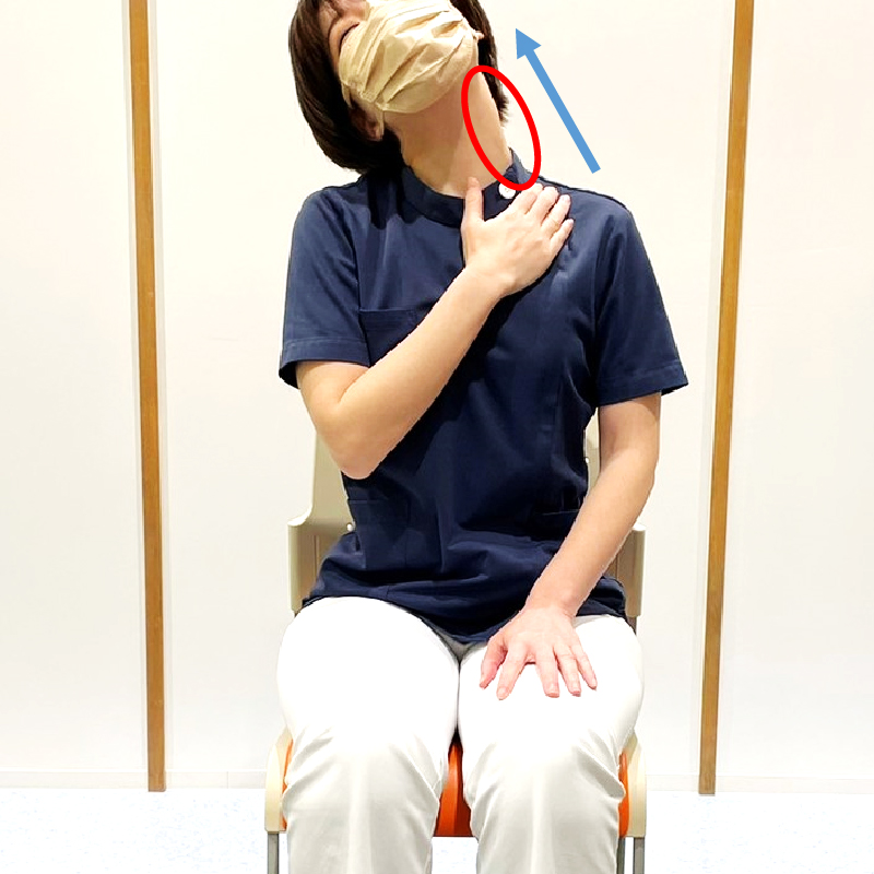 首を横に倒したまま、あごを上に向けます。伸びて気持ちいいという程度のところで止めて15秒間伸ばします。