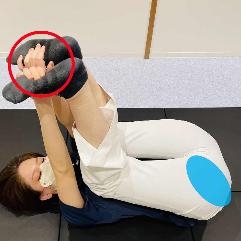 骨盤底筋群・お尻のストレッチ